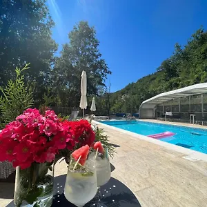 book here